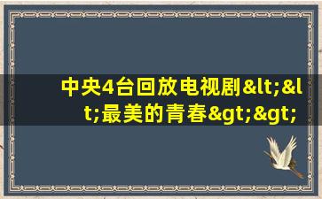 中央4台回放电视剧<<最美的青春>>十二集